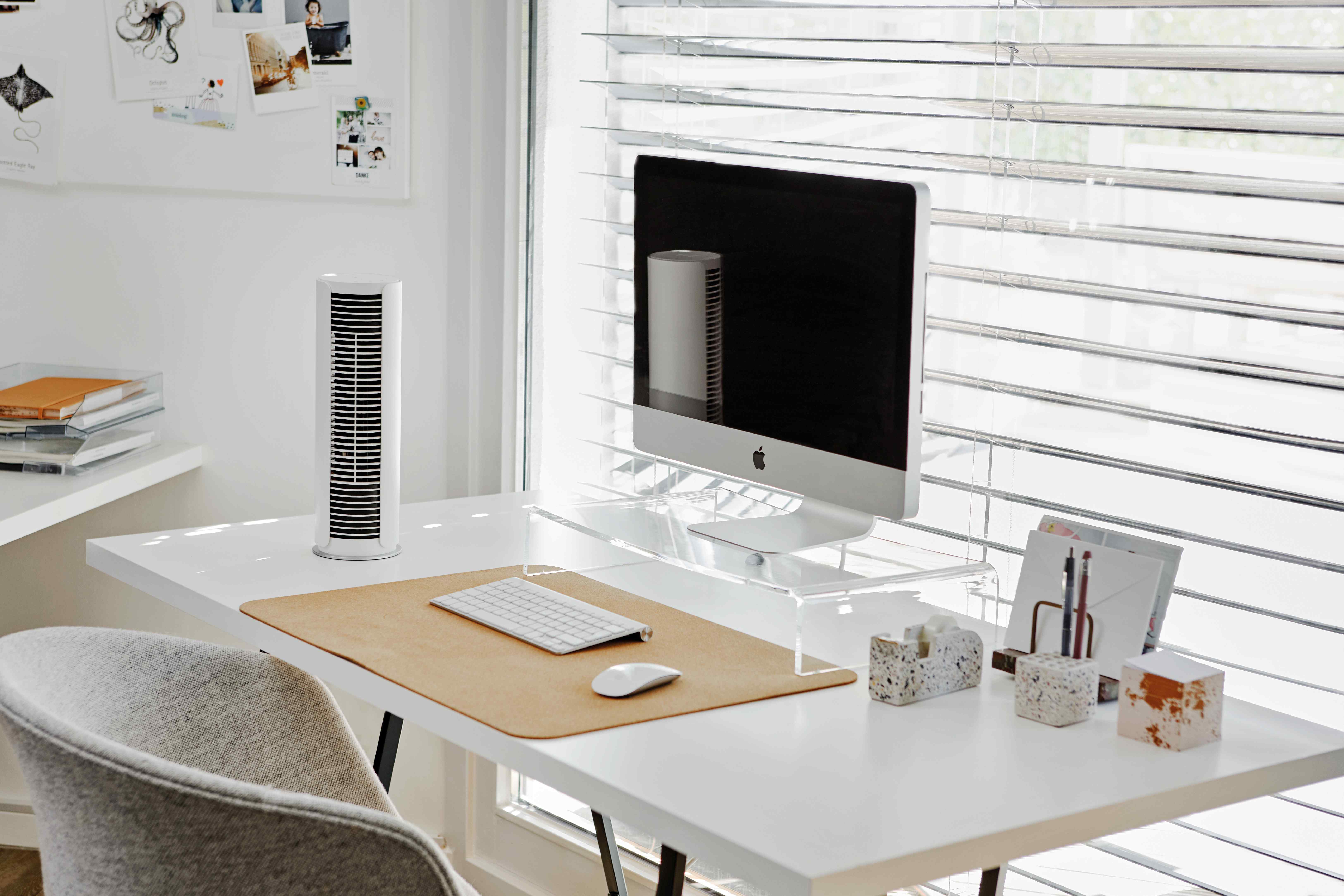 SF_Peter_little_white_lifestyle2_landscape