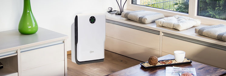 ALR160-Wohnen-745x300